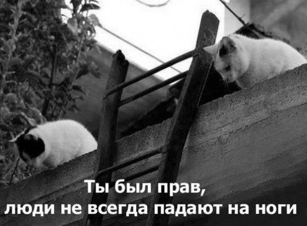 VFL.RU -  
