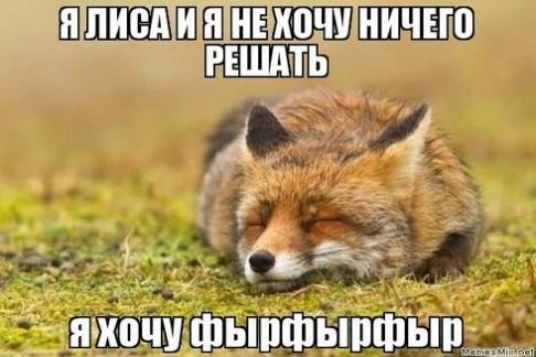 VFL.RU -  