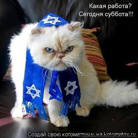 VFL.RU -  