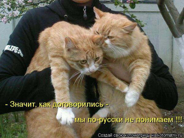 VFL.RU -  