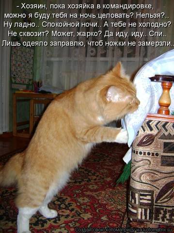 VFL.RU -  