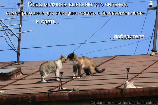 VFL.RU -  