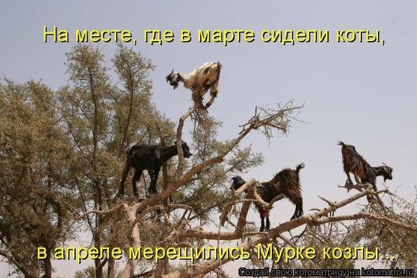 VFL.RU -  