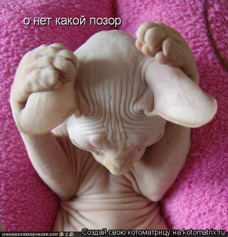VFL.RU -  
