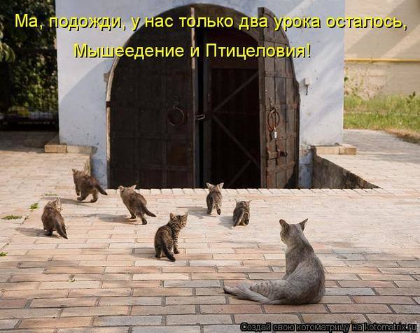 VFL.RU -  