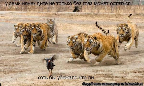 VFL.RU -  