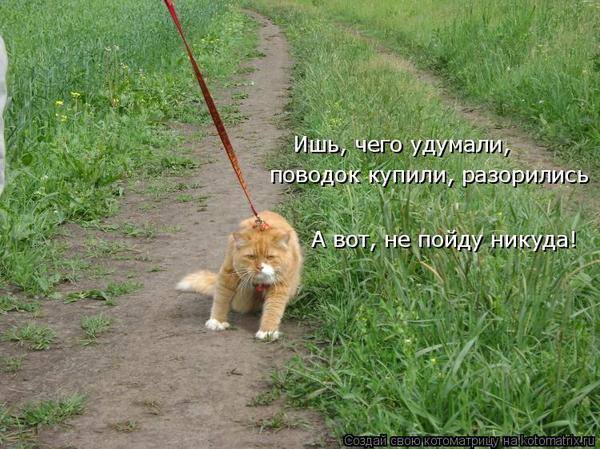 VFL.RU -  