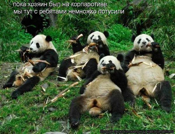 VFL.RU -  