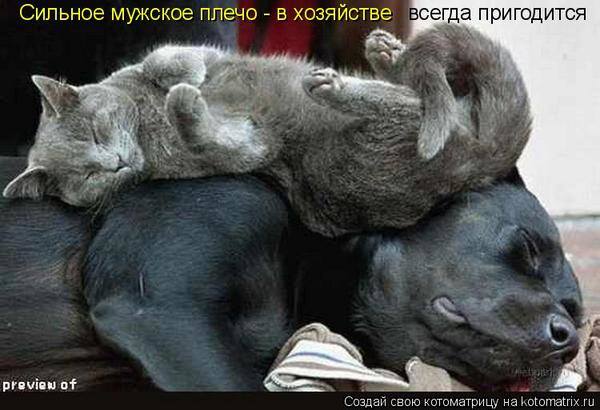 VFL.RU -  