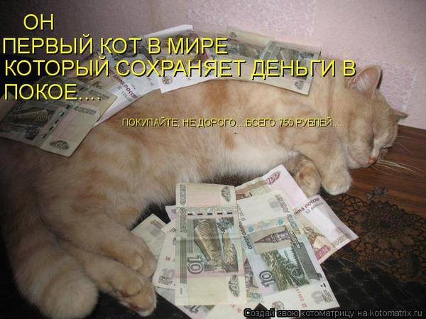 VFL.RU -  