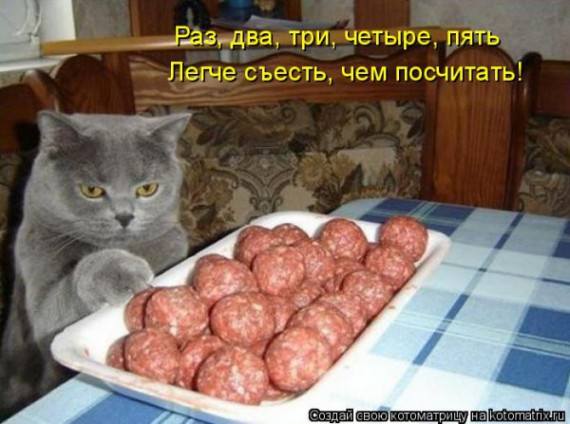 VFL.RU -  