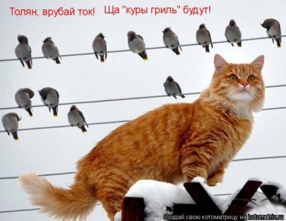 VFL.RU -  