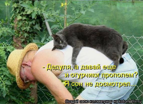 VFL.RU -  