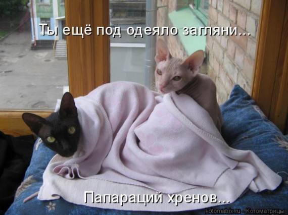 VFL.RU -  