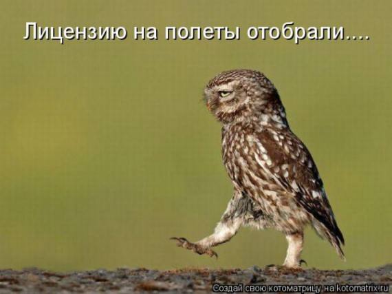 VFL.RU -  