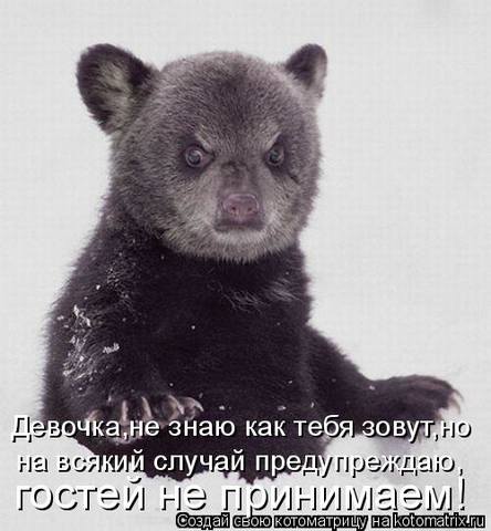 VFL.RU -  