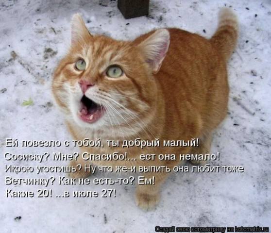 VFL.RU -  