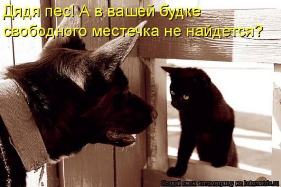 VFL.RU -  