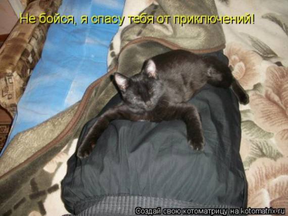 VFL.RU -  