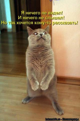 VFL.RU -  