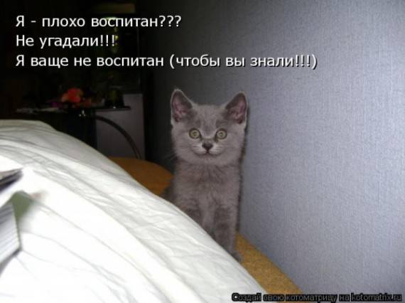 VFL.RU -  