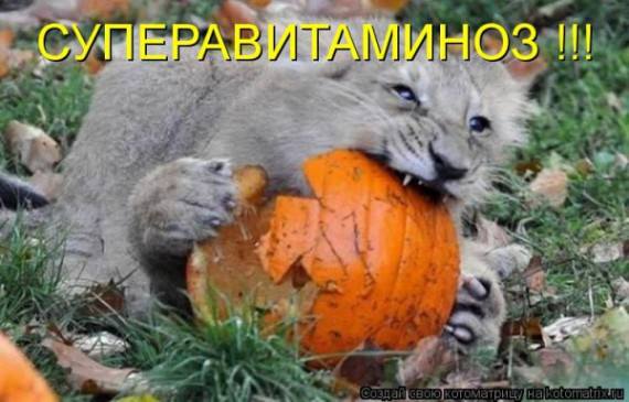 VFL.RU -  