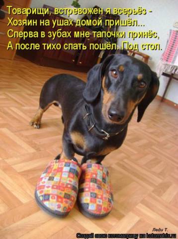 VFL.RU -  