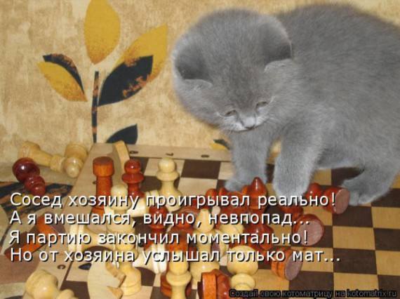 VFL.RU -  