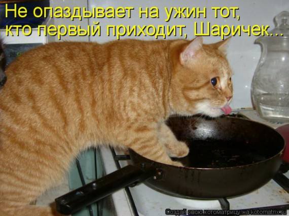 VFL.RU -  