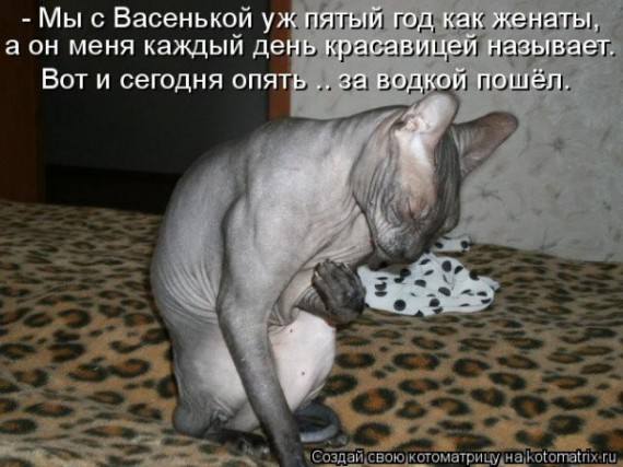 VFL.RU -  