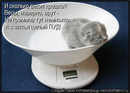 VFL.RU -  