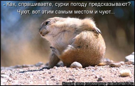 VFL.RU -  