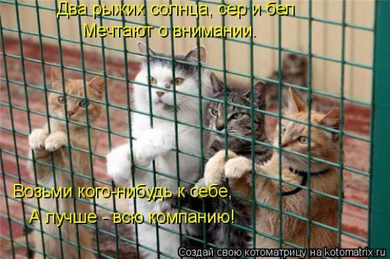 VFL.RU -  