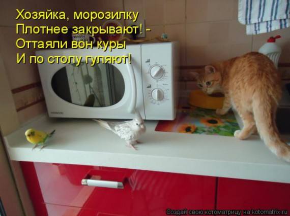 VFL.RU -  