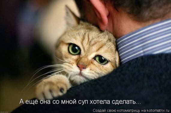 VFL.RU -  