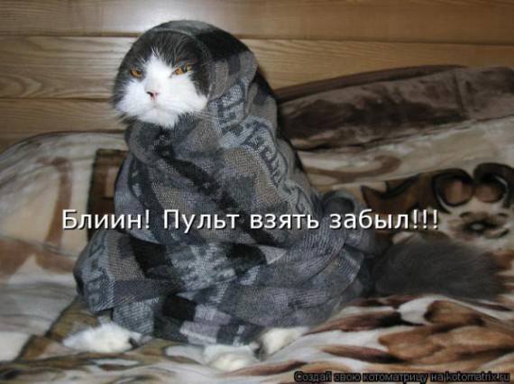 VFL.RU -  