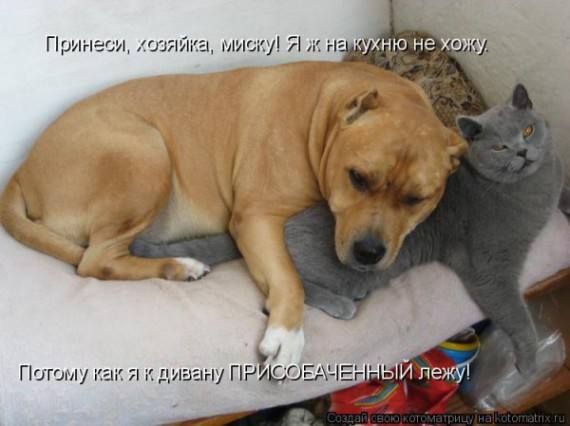VFL.RU -  