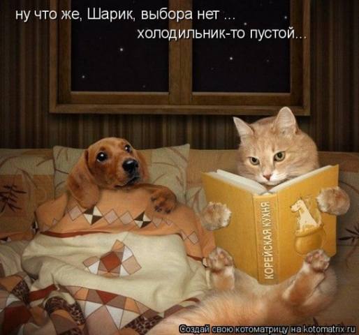 VFL.RU -  
