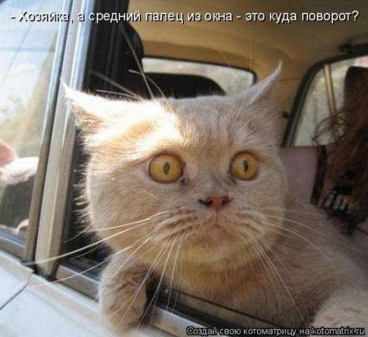 VFL.RU -  