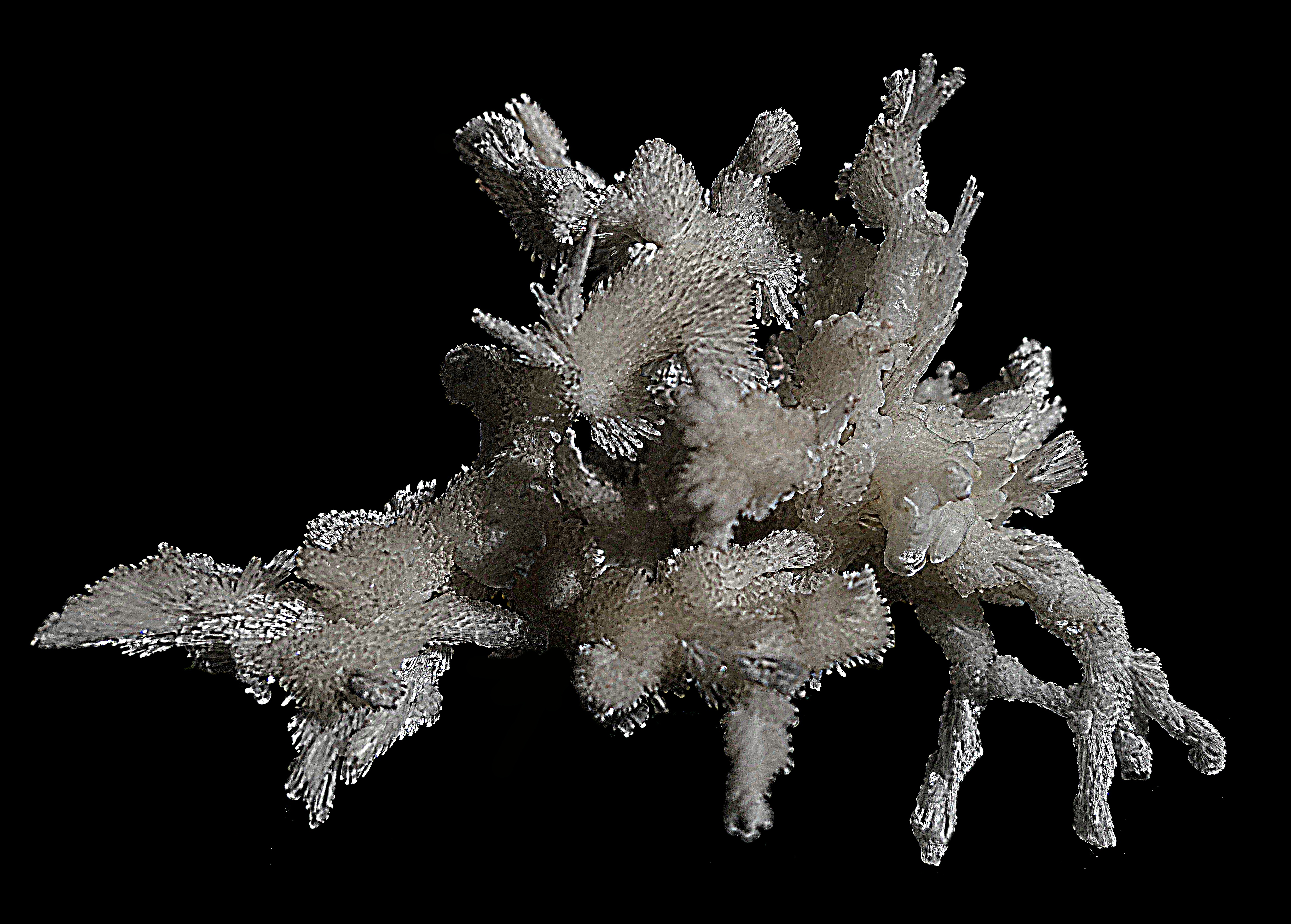 Арагонит (карбонат Са) пещерный. Ю.Туркмения. Размер 7 см. Фото Морошкина В.В.