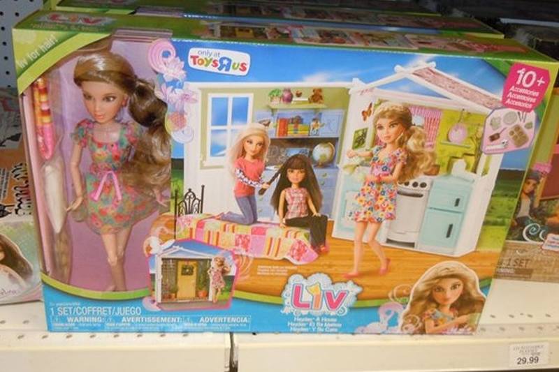 к пятой линейке для сети магазинов игрушек Toysrus были выпущены наборы ХАЙДН и домик