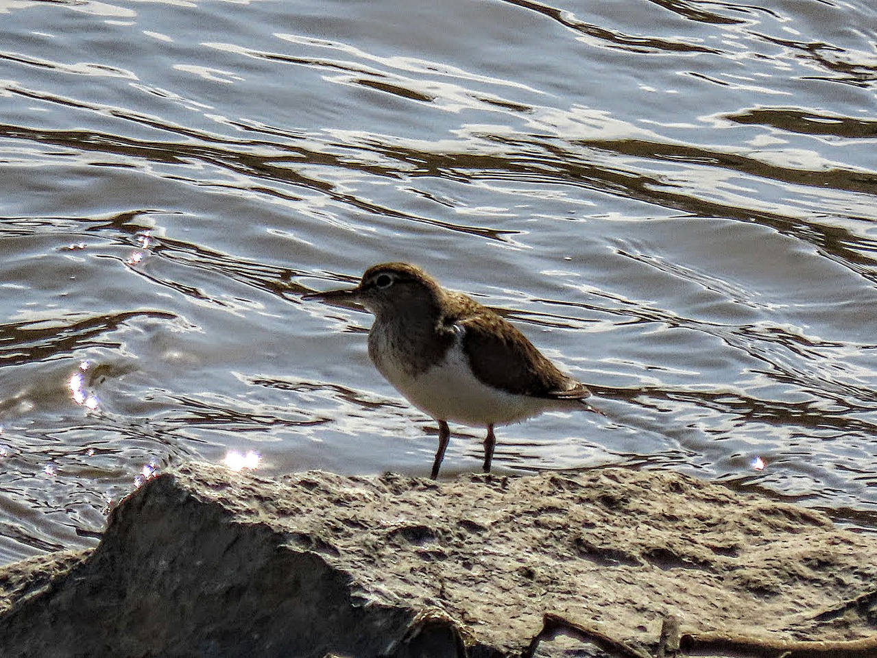 VFL.RU - ваш фотохостинг VFL.RU - ваш фотохостинг