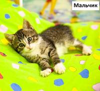 VFL.RU - ваш фотохостинг