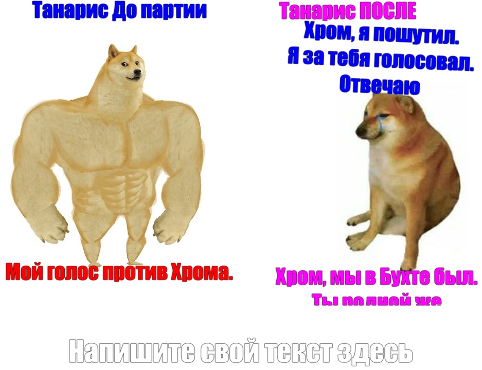 mem (2)