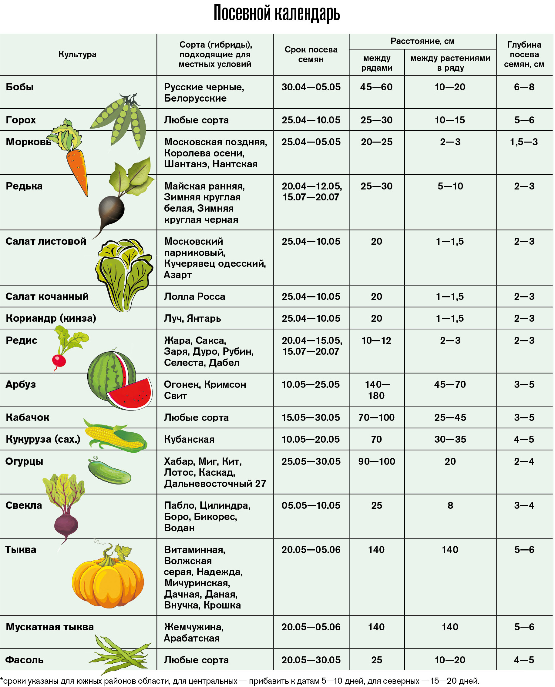 Сроки высадки капусты. Таблица рассады овощей для высадки в грунт. Сроки посев семян в почву таблица. Таблица посева овощей в грунт. Таблица сроков высадки рассады овощей.