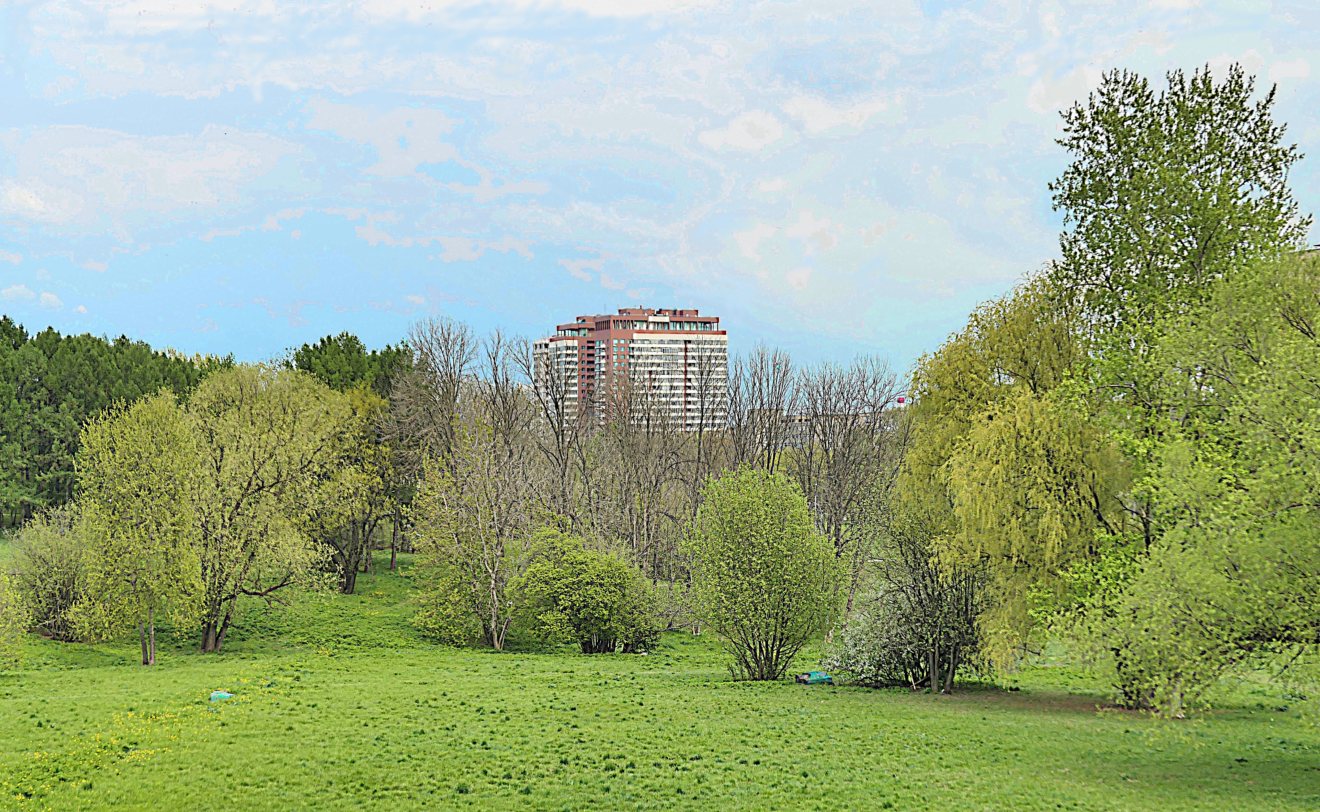 Парк Дворца молодёжи на Воробьёвых горах. Фото Морошкина В.В.