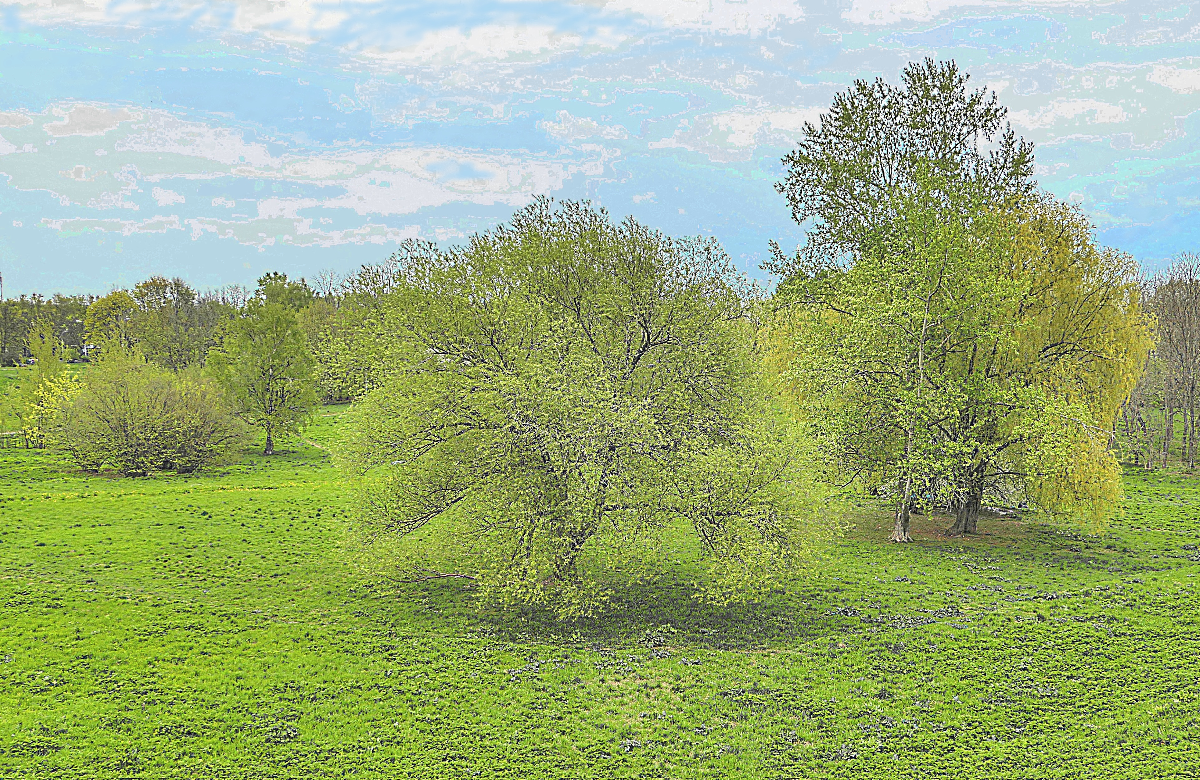 Парк Дворца молодёжи в мае. Фото Морошкина В.В.