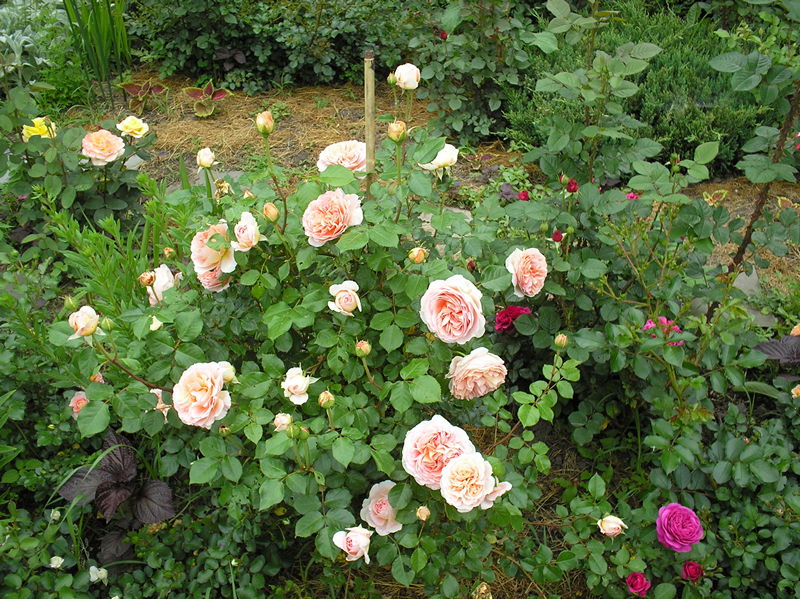 2014 (7)