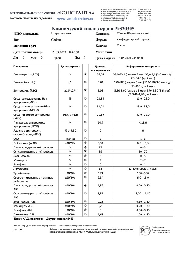 висла