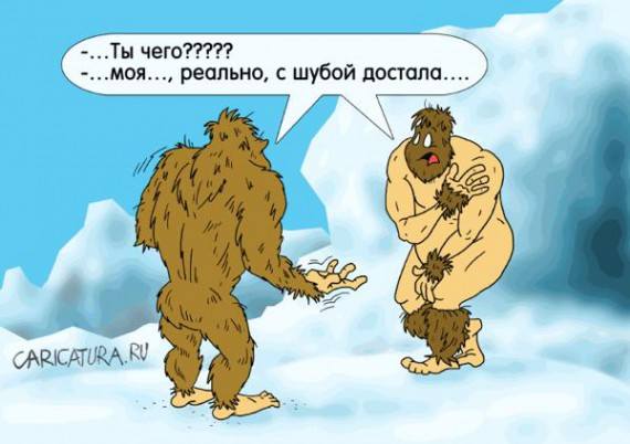 VFL.RU -  